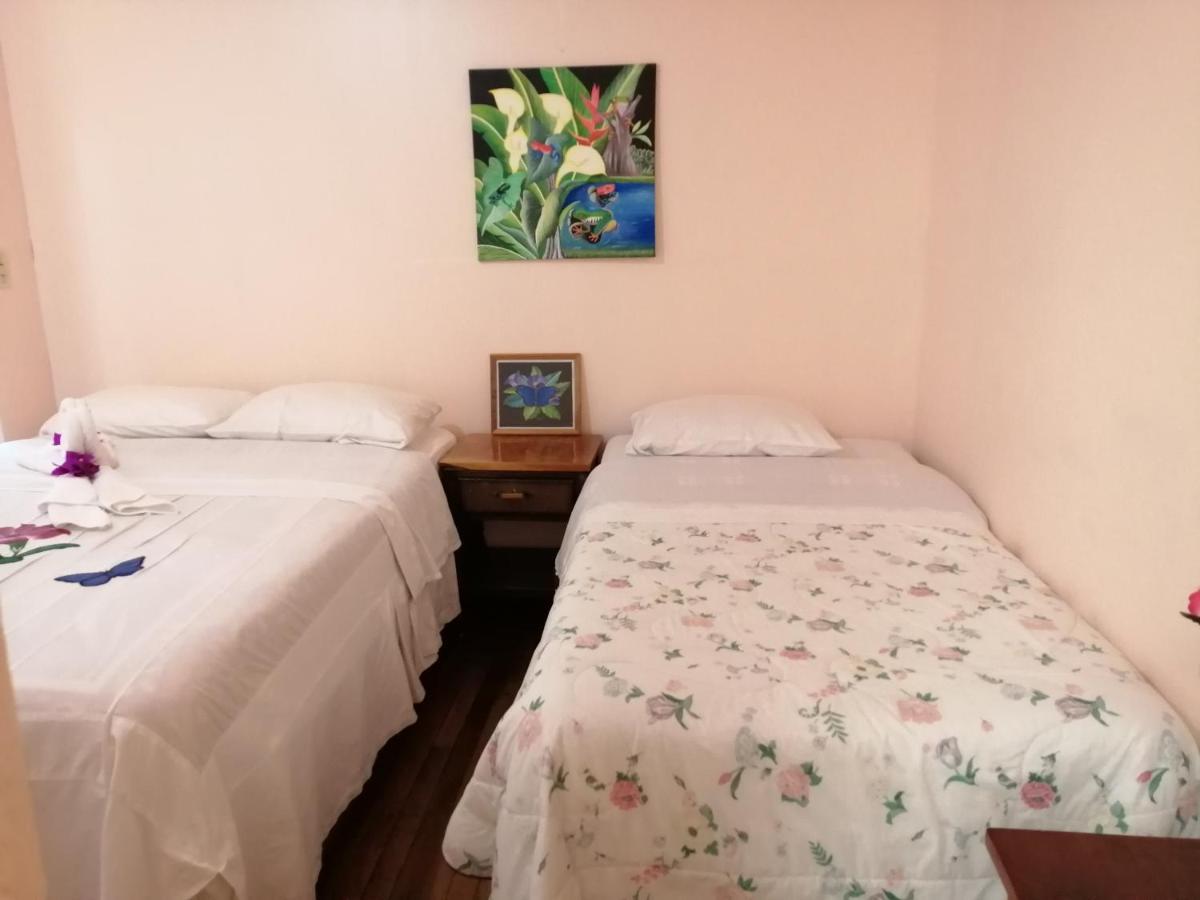 الجبل الأخضر Monte Los Lirios Lodge المظهر الخارجي الصورة