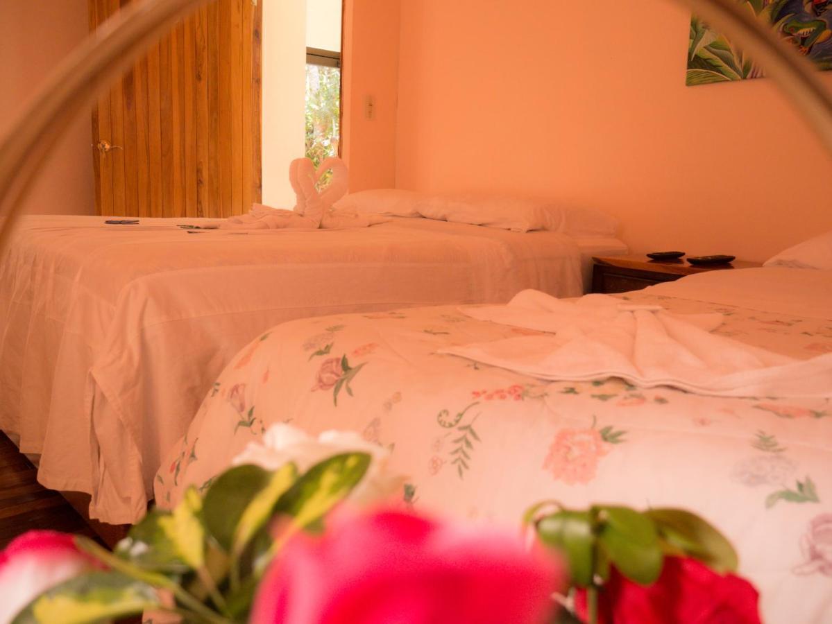 الجبل الأخضر Monte Los Lirios Lodge المظهر الخارجي الصورة